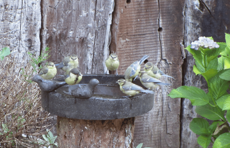 Natuurhuisje in Markelo