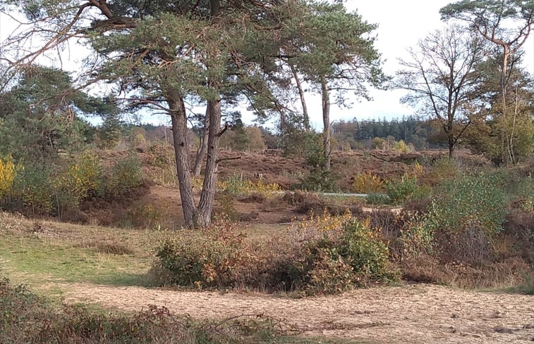 Natuurhuisje in Marum