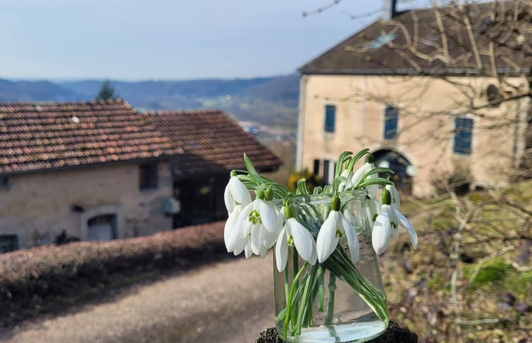 Natuurhuisje in Le Val d&apos;Ajol