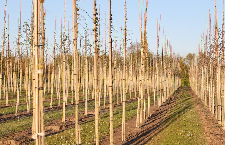 Natuurhuisje in Beers