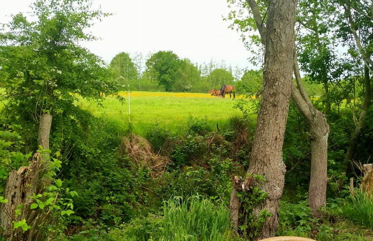 Natuurhuisje in Kollumerzwaag