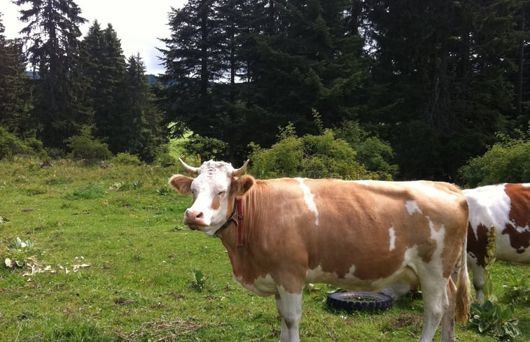 Natuurhuisje in Les Rasses