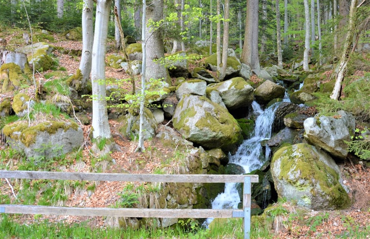 Natuurhuisje in Neureichenau