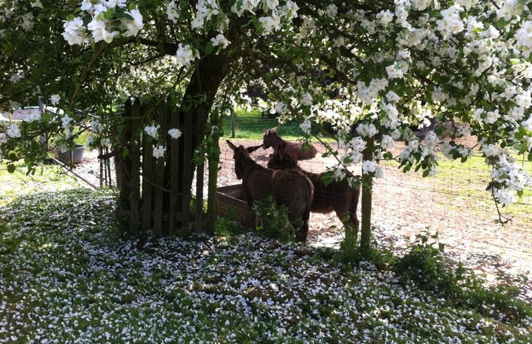 Natuurhuisje in Wijlre