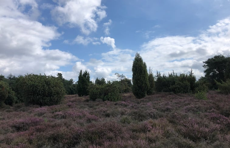 Natuurhuisje in Lemele