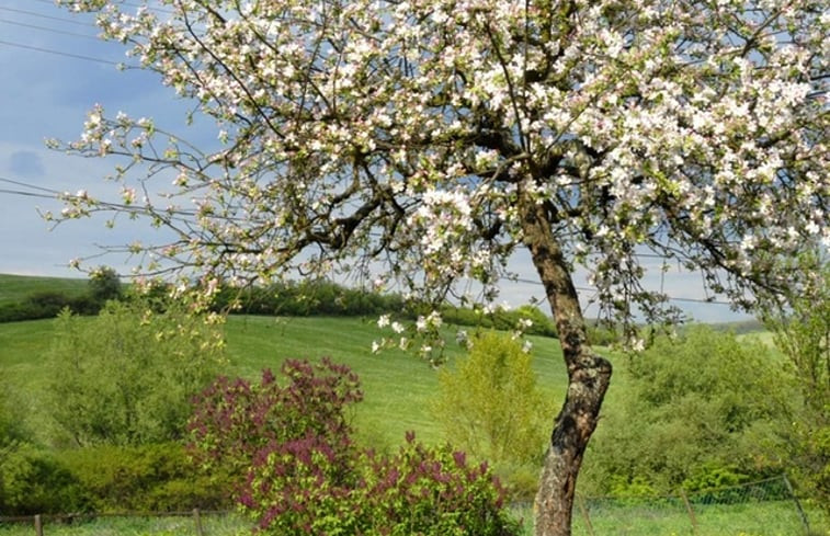 Natuurhuisje in Szakácsi