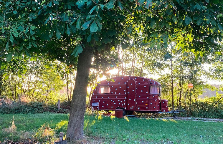 Natuurhuisje in Sint-Oedenrode