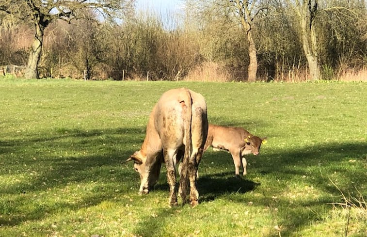 Natuurhuisje in Schipborg