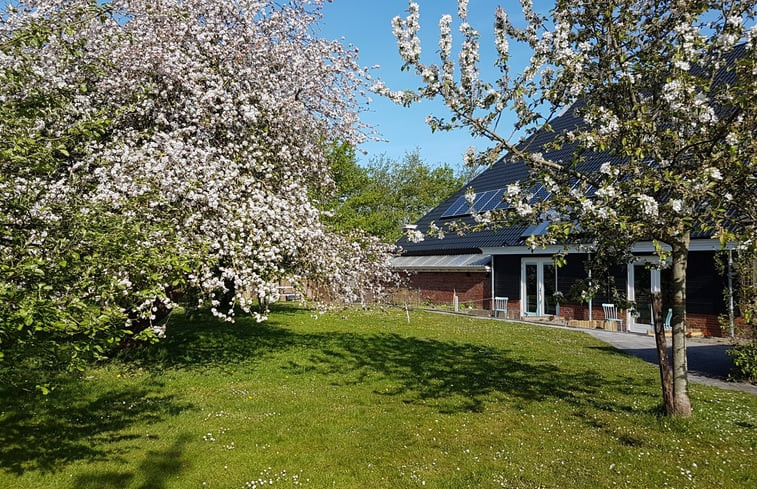 Natuurhuisje in Ulrum