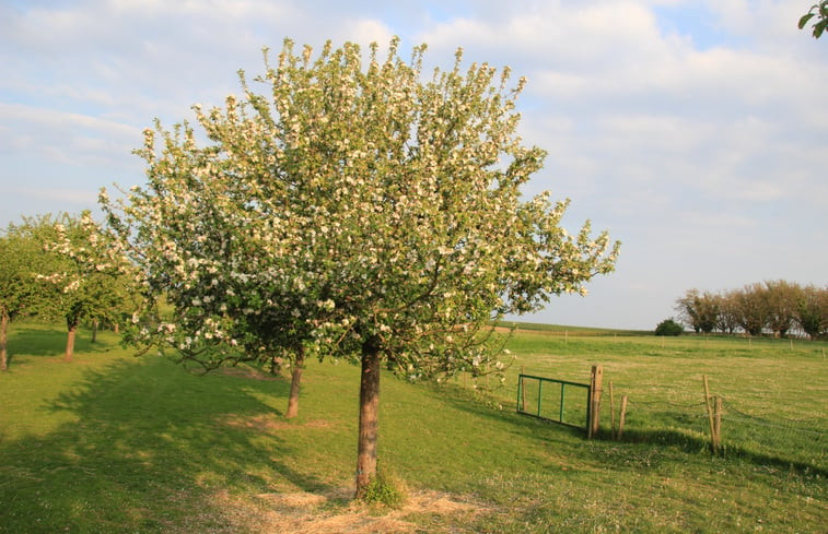 Natuurhuisje in heers