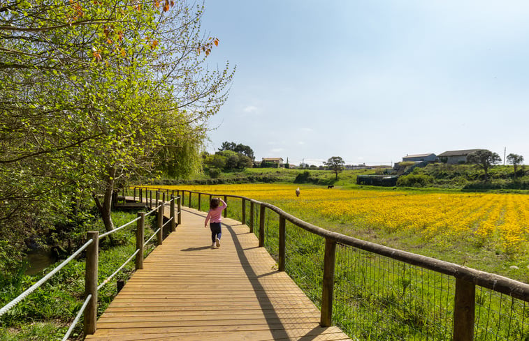 Natuurhuisje in Valadares, Vila Nova Gaia