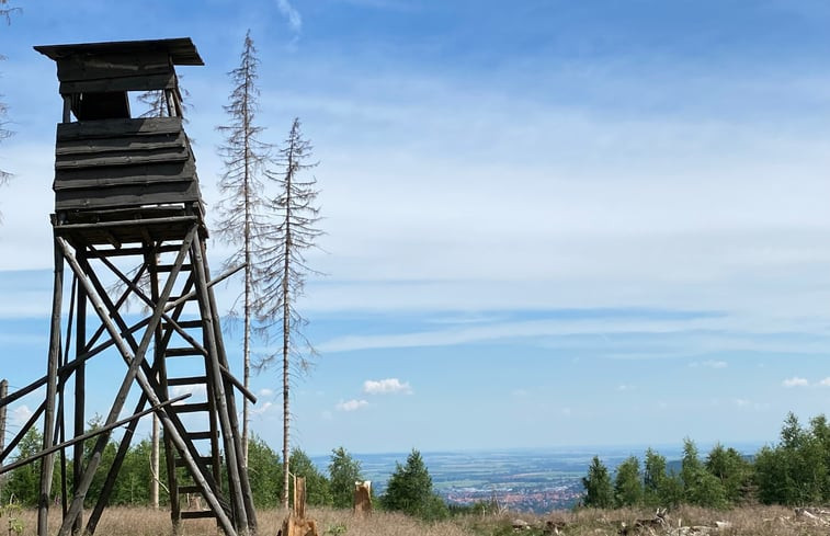 Natuurhuisje in Wernigerode