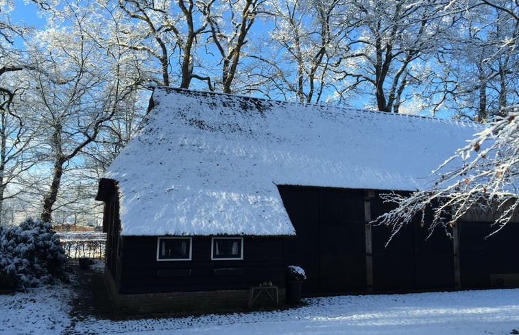 Natuurhuisje in Uffelte