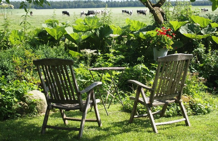 Natuurhuisje in Odoornerveen