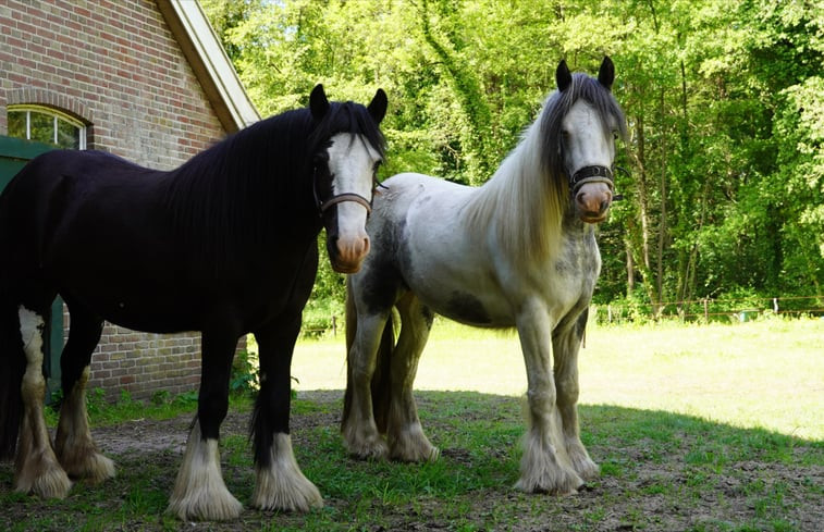 Natuurhuisje in Enschede