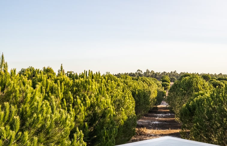 Natuurhuisje in Grandola (Comporta)