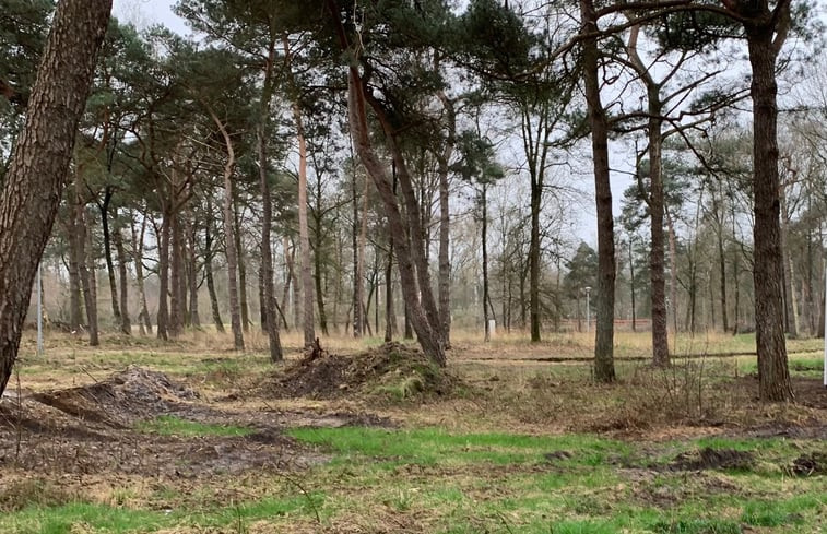 Natuurhuisje in Haarle