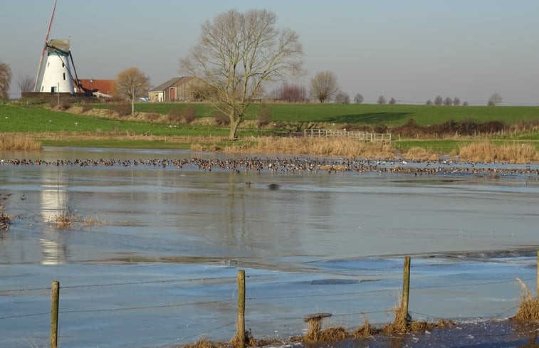 Natuurhuisje in Beveren-aan-den-IJzer