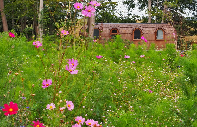 Natuurhuisje in Vaux-sur-Sûre