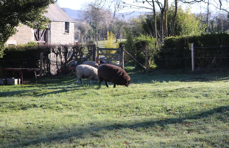 Natuurhuisje in Rouperroux