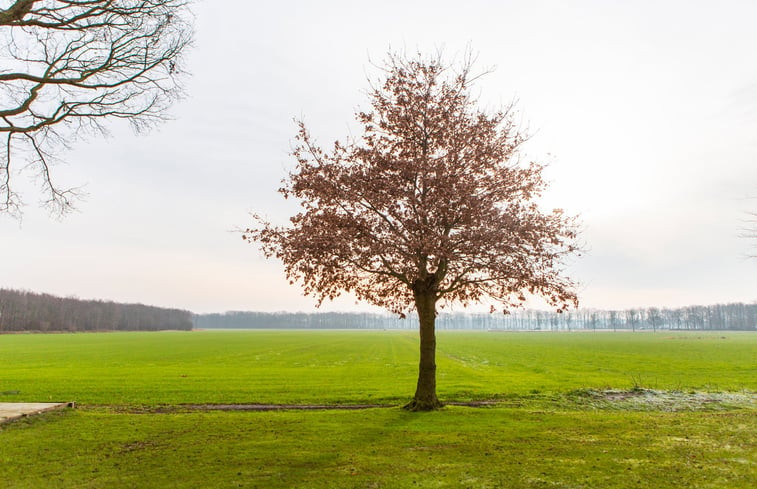 Natuurhuisje in Harich