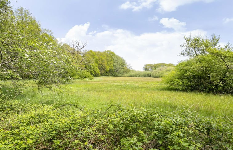 Natuurhuisje in Dalfsen