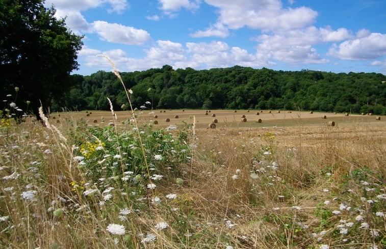 Natuurhuisje in Chateau Guibert