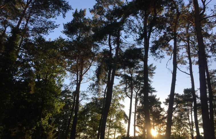 Natuurhuisje in Haaksbergen