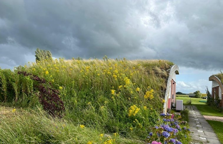 Natuurhuisje in Warfhuizen