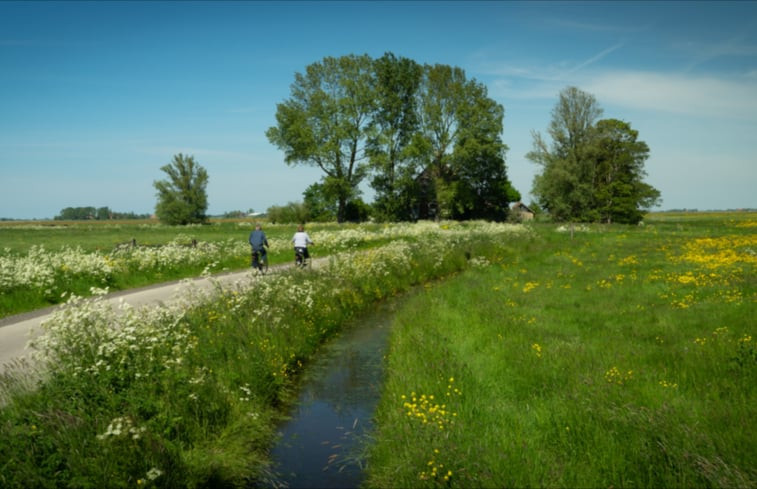 Natuurhuisje in Nes (gemeente Heerenveen)