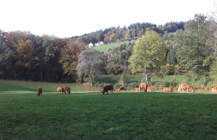 Natuurhuisje in Palisse