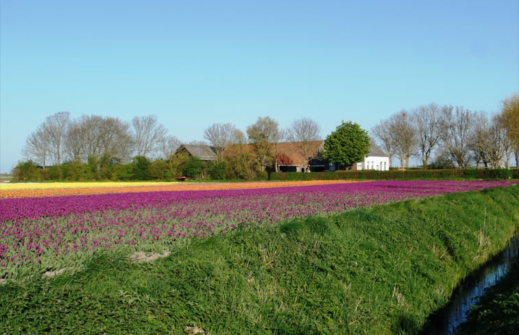 Natuurhuisje in Zonnemaire