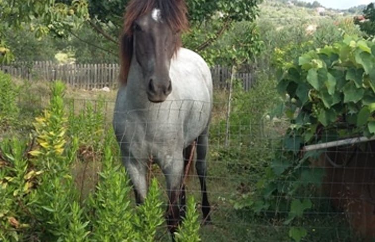 Natuurhuisje in GAETA