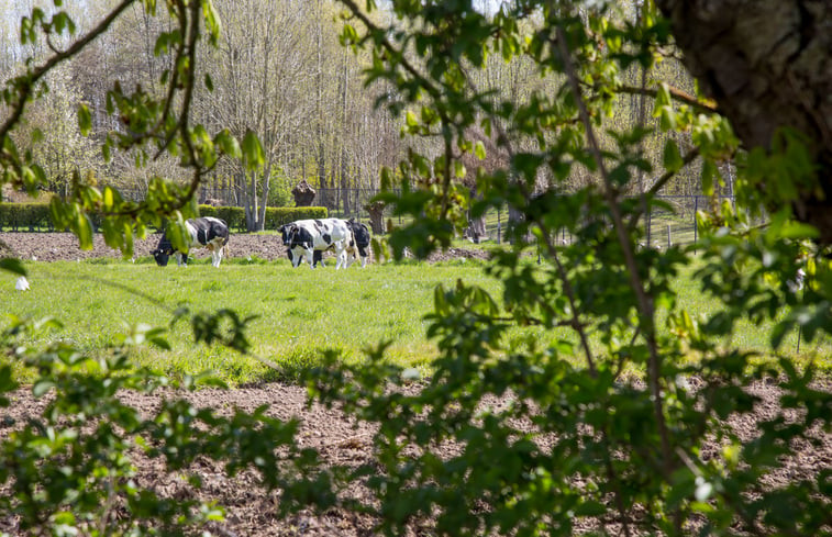 Natuurhuisje in Hooglede