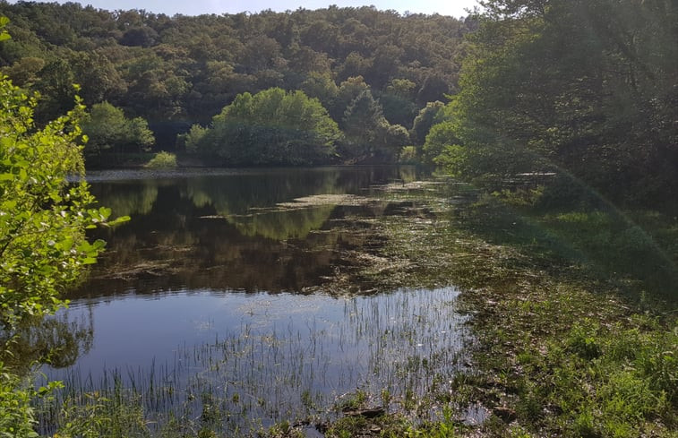 Natuurhuisje in Bormes les Mimosas