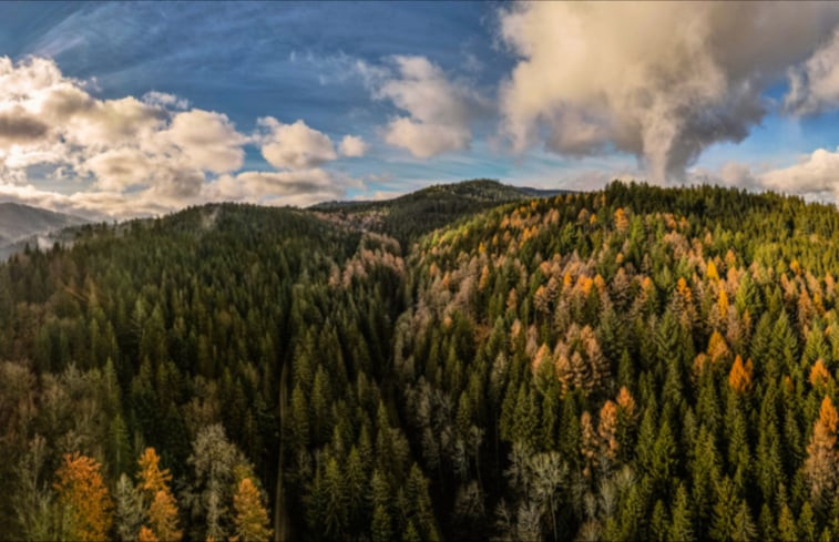 Natuurhuisje in Baiersbronn Ortsteil Schwarzenberg