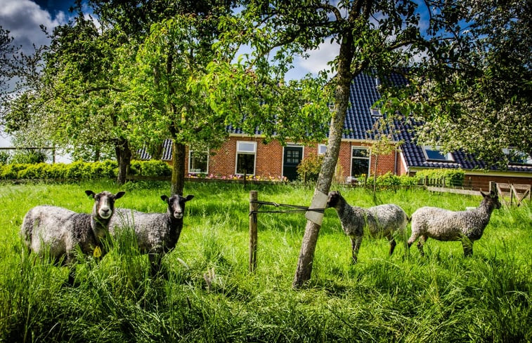 Natuurhuisje in Groningen