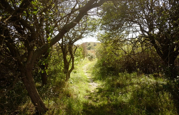 Natuurhuisje in Dishoek