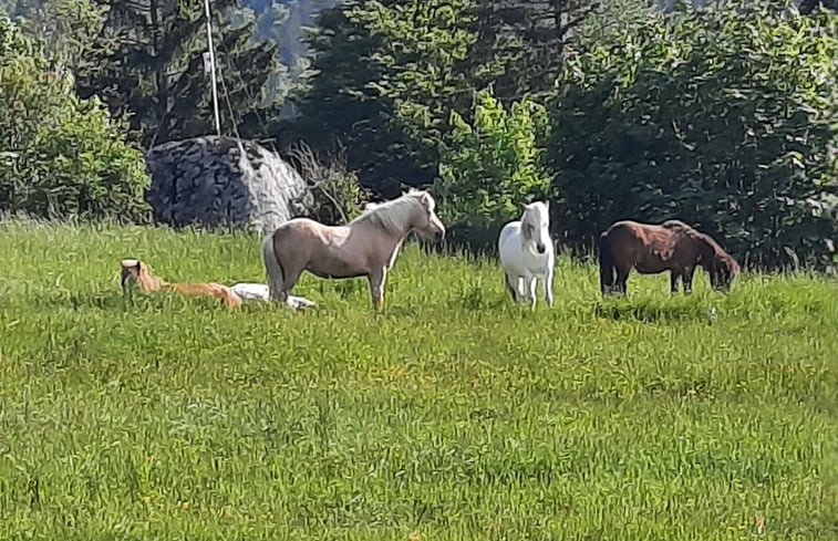 Natuurhuisje in Neureichenau