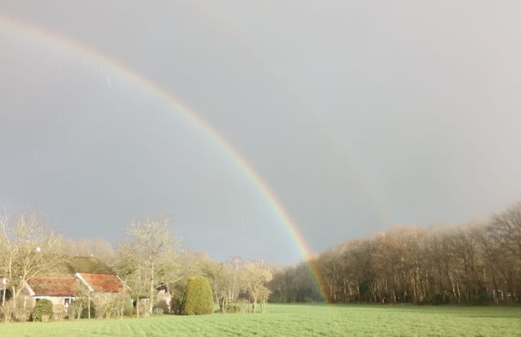 Natuurhuisje in Harfsen