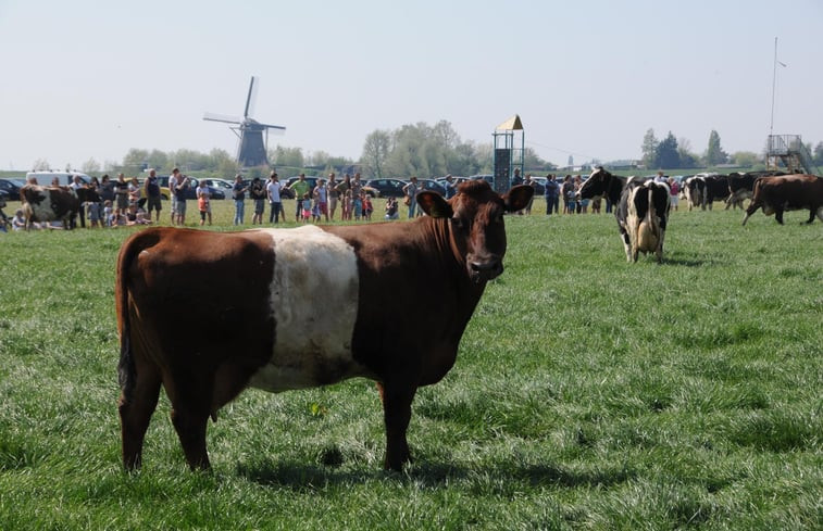 Natuurhuisje in Leimuiden