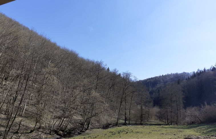 Natuurhuisje in La roche-en-ardenne