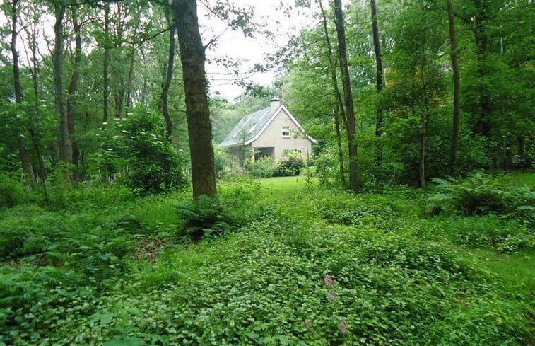 Natuurhuisje in Ootmarsum