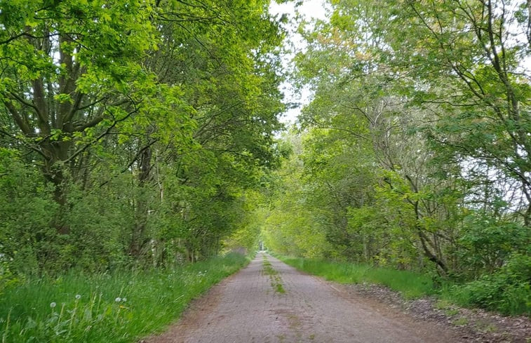 Natuurhuisje in Zuidwolde