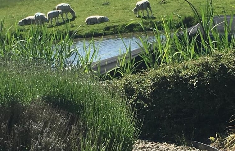 Natuurhuisje in Witmarsum