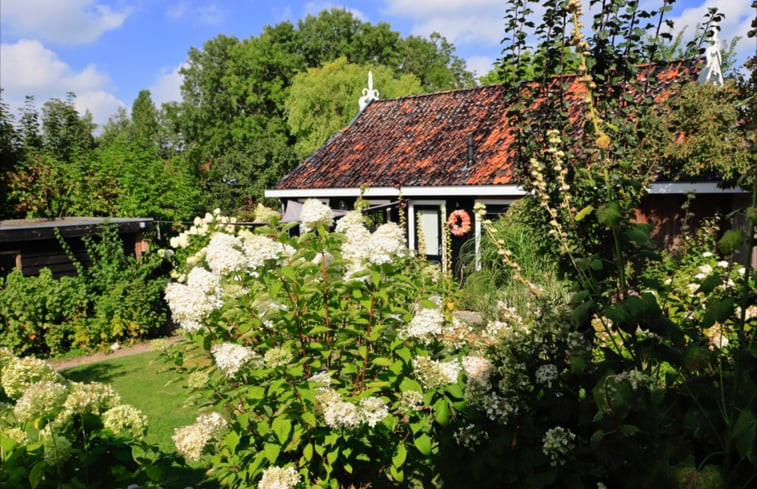 Natuurhuisje in Foudgum