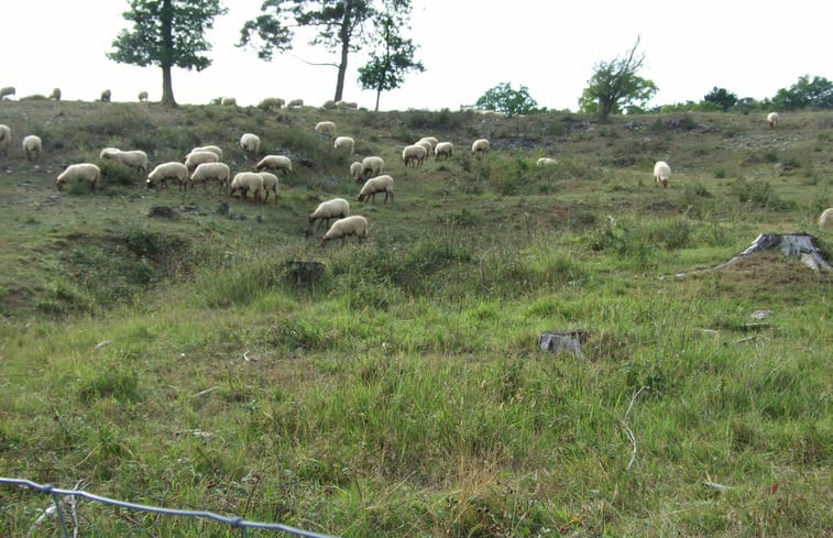 Natuurhuisje in Treignes