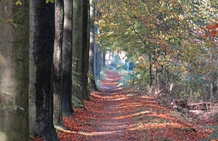 Natuurhuisje in Borculo