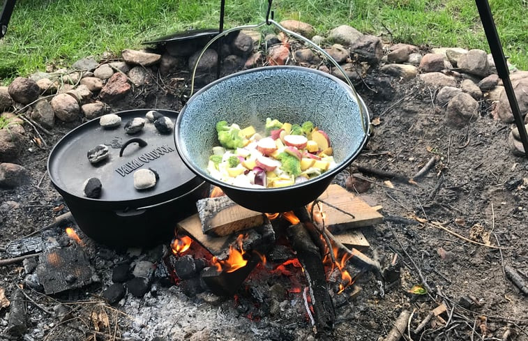 Natuurhuisje in Gasselte