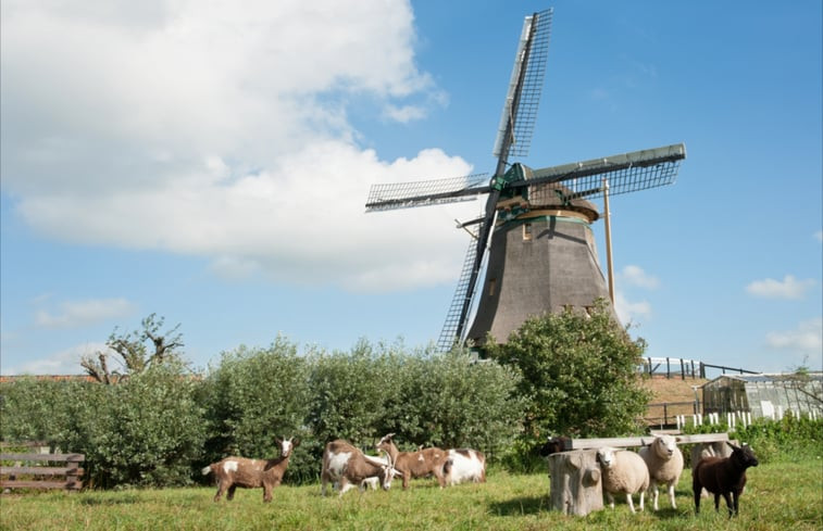 Natuurhuisje in Alphen aan den Rijn